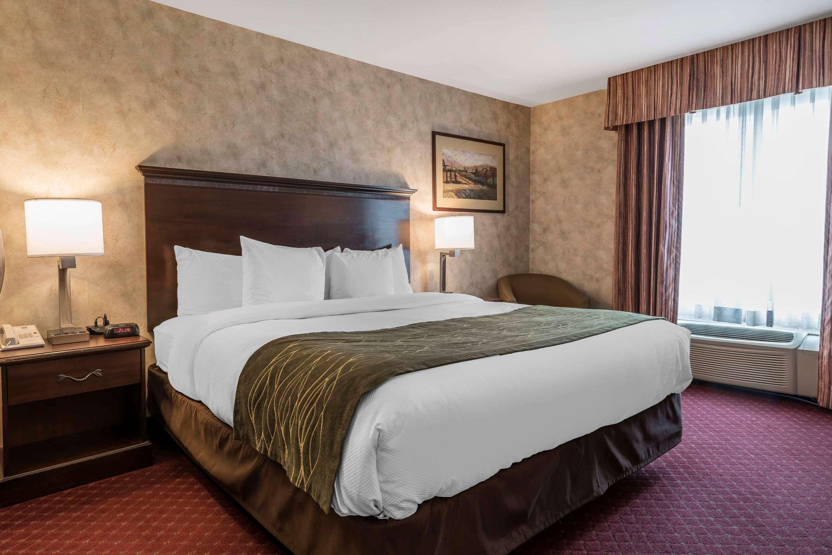 Comfort & Hotel 3*